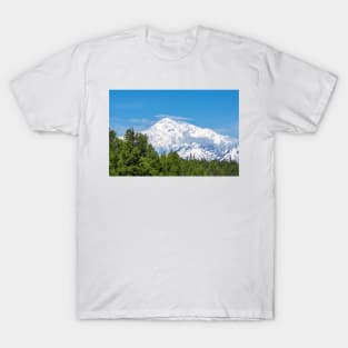 Denali View T-Shirt